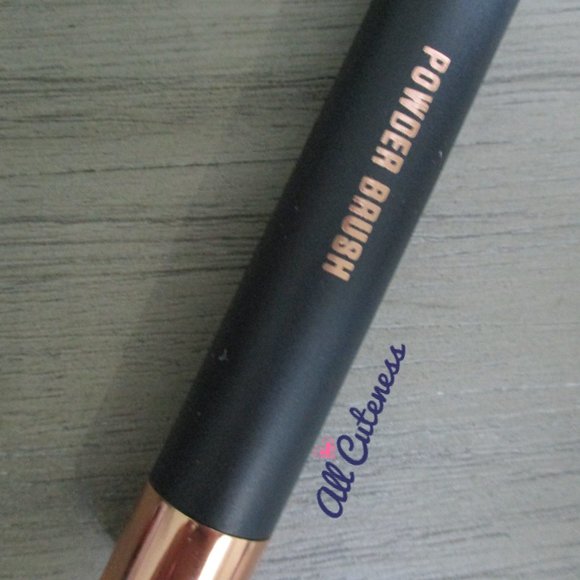 🎀 (NWOT) Powder Brush - Picture 2 of 4